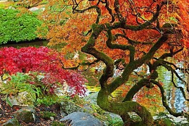 《弹丸论破》开发商Spike Chunsoft 上线新作倒计时网站