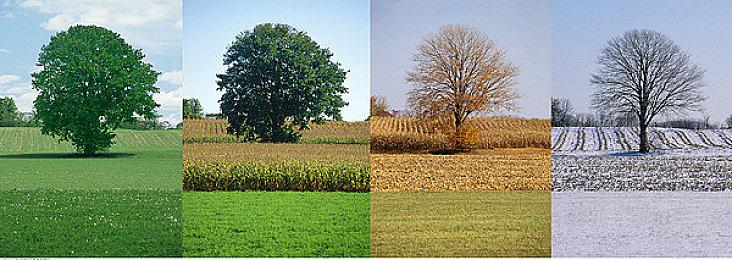 柚子社全年龄处女作《PARQUET》现已发售